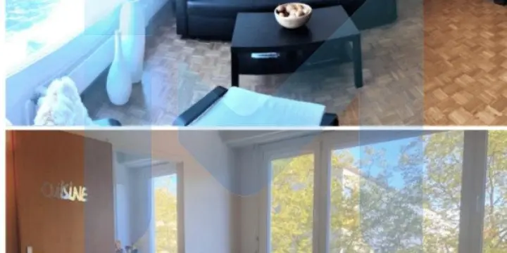 Appartement meublé de 1,5 pièces au 4ème étage situé à Genève 1203