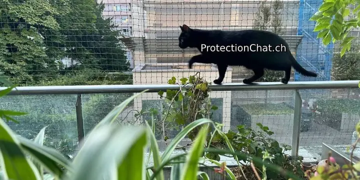Filet de sécurité pour chats