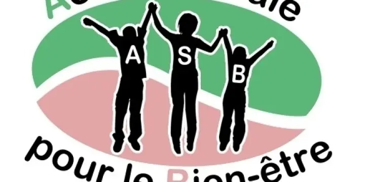 Offre de stages +camps chantiers ASB à 2