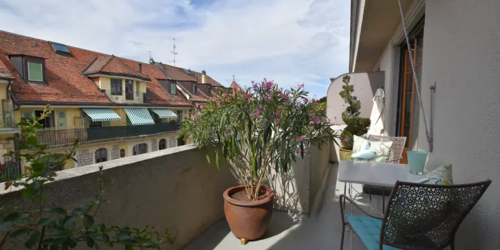 2 APPARTEMENTS A MALAGNOU ET AUX EAUX-VIVES - BEAUCOUP DE CHARME