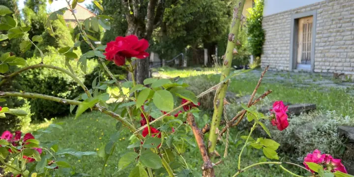 5.5 pièces avec jardin, proche de toutes les commodités