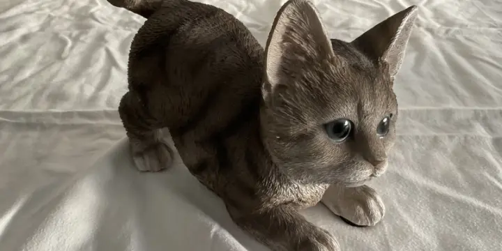 Joli chat tigré gris 18cm