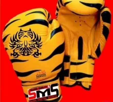 gants de combat tiger