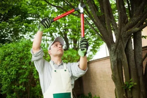 On recherche le jardinier à Genève