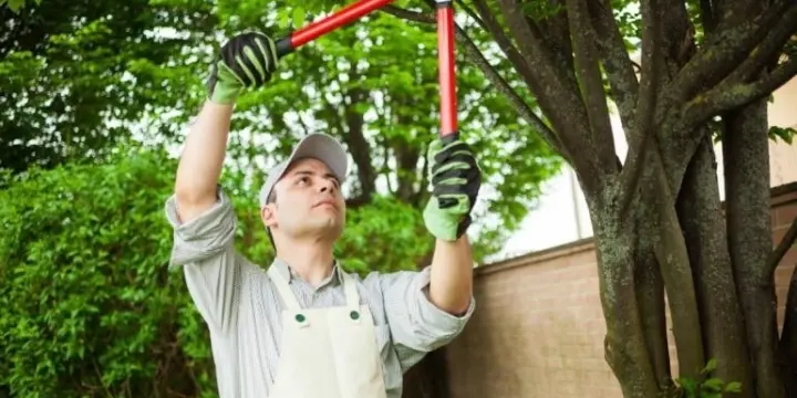 On recherche le jardinier