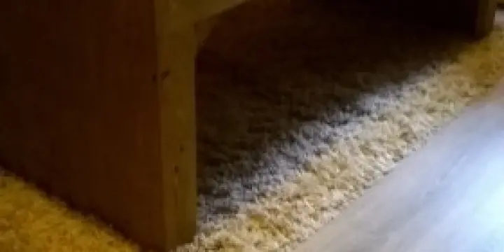 Exceptionnelle table basse de salon