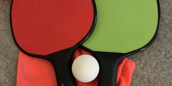 2 raquettes et une balle de ping pong - Donic Schildkröt