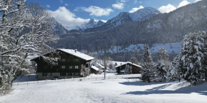 Votre duplex dans l'Oberland Bernois, la magie de la Suisse