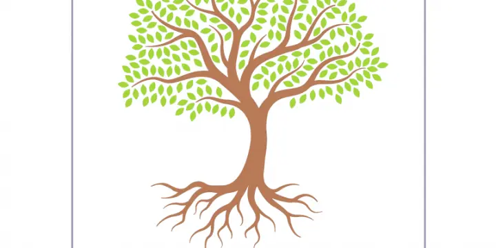 Psychologue indépendante