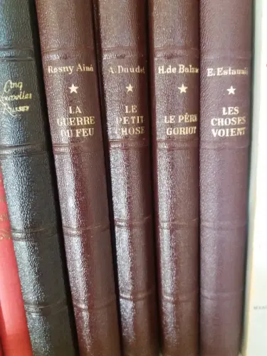 Livres classiques et contemporains de qualité à Genève