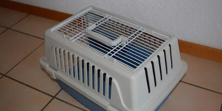Cage de transport
