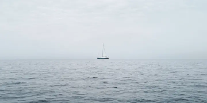 Consultation de Tarologie en visio / Tarot