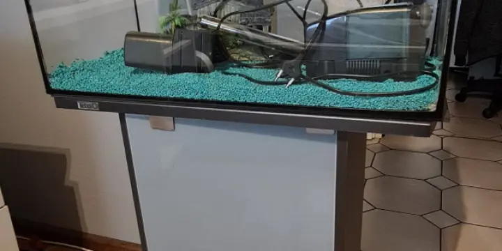 Acquarium
