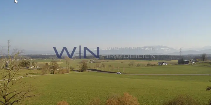 Starten auf der grünen Wiese - ohne Verpflichtungen