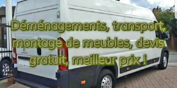 Déménagements montage travail soigné Prix imbattable