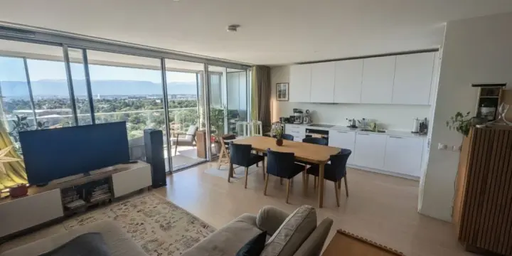 Duplex d'exception avec vue panoramique sur Genève - Chêne-Bourg
