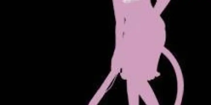 Cherche femme de ménage