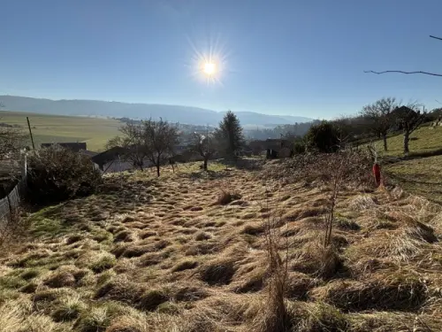 Terrain Rare à Vendre dans un Quartier Résidentiel à Fontenais