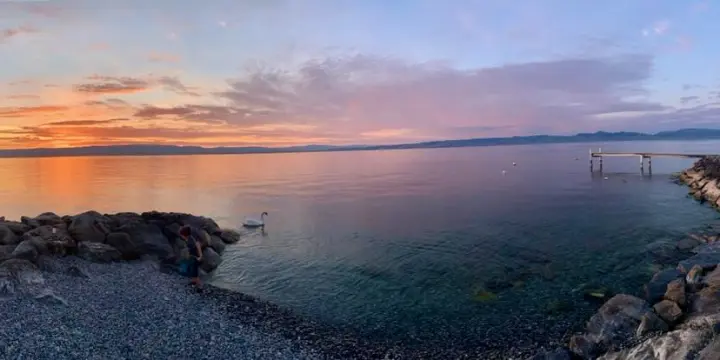 HOTEL RESTAURANT BRASSERIE AU BORD DE LAC LEMAN