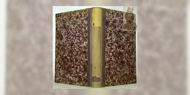 Geschichte von Belgien von der ältesten bis auf neueste Zeit. Aus dem Vlämischen von O.L.B. Wolff…