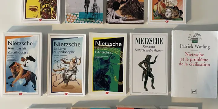 Lot livres de Nietzsche (oeuvre quasi-complète)