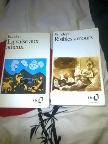 Livres de Milan Kundera à Pont-de-la-Morge
