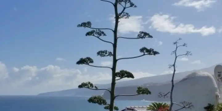 Massages pour vous mesdames 