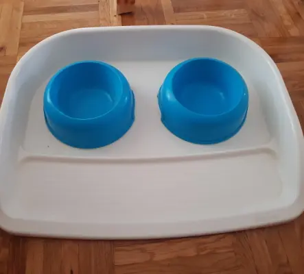Plateau avec gamelles pour chats et chiens