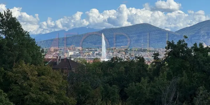 Superbe attique 6.5 pièces neuf avec 2 terrasses et vue près de l'ONU