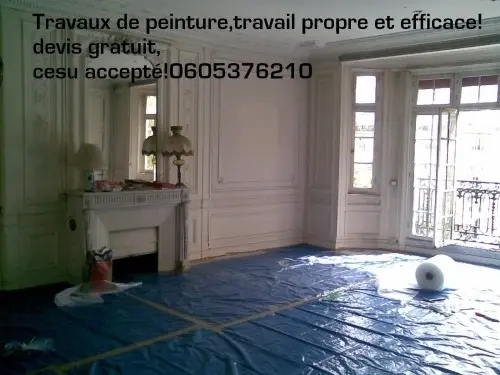 Travaux de rénovation habitat,Cesu ok à Créteil