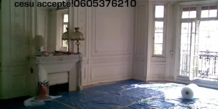 Travaux de rénovation habitat,Cesu ok