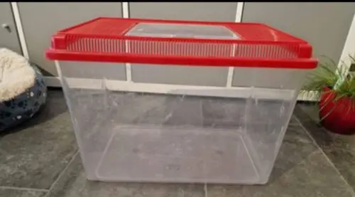 LOT RONGEURS à vendre à Lausanne