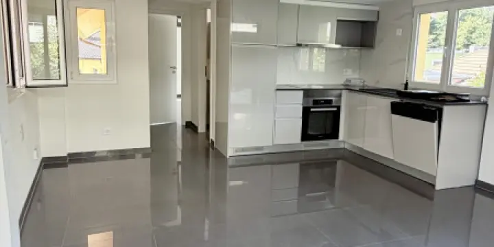 Charmant appartement de 2 pièces rénové au coeur de Fribourg