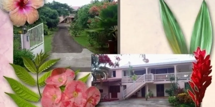 Vacances      à    la   Martinique