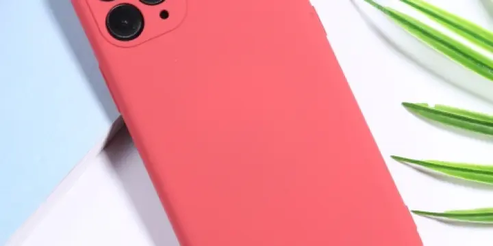 Coque pour iPhone11 Pro Max