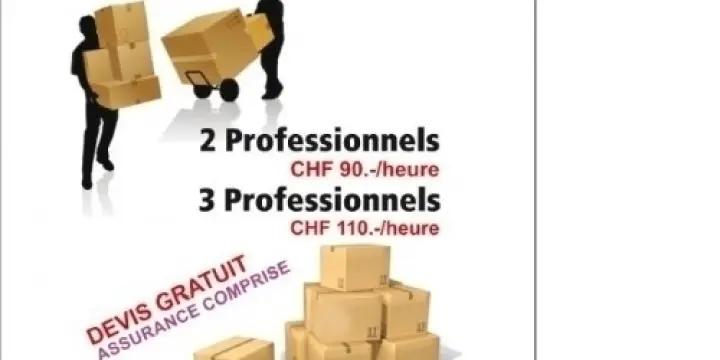 Dantas Demenagements et Nettoyages 
