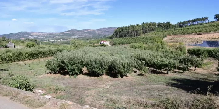 Vente terrain 700 m2 à Armamar (Portugal)