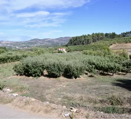 Vente terrain 700 m2 à Armamar (Portugal)
