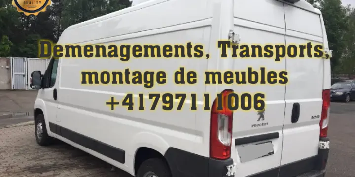 Déménagements efficace, rapide et économique 75fr/h !
