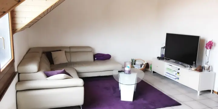 Appartement, 5,5 pièces, 130m2, Carrouge (VD)