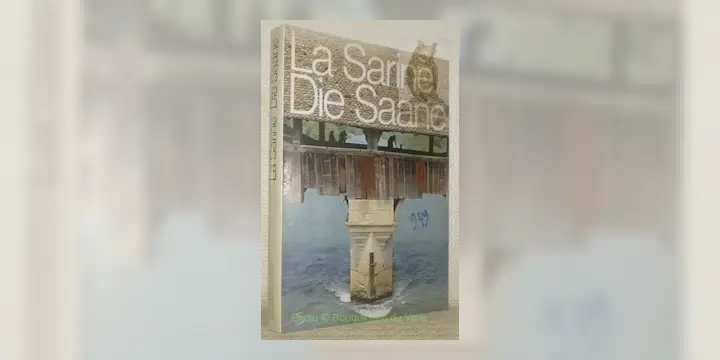 La Sarine - Die Saane.