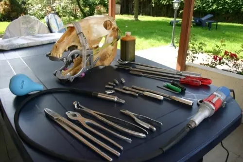 Soins dentaires aux chevaux - Dentiste équin à Corserey