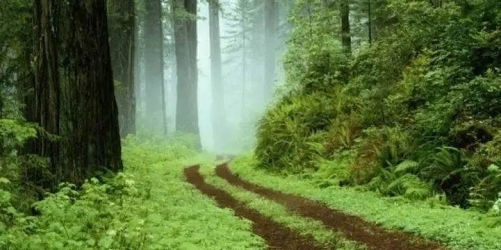 Je cherche j.h. Asiatique