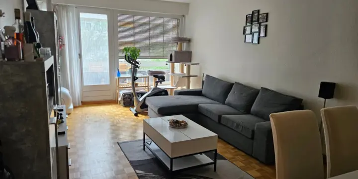 Bel appartement lumineux de 3 pièces à Genève, Rue Daubin