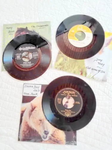 Disques vinyles 45 tours à Chigny