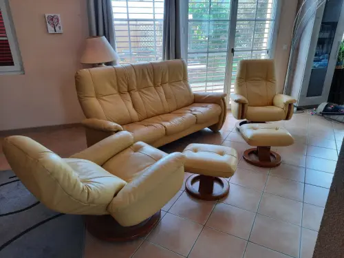 Salon cuir à Bercher