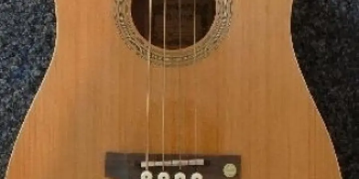 Basse electro-acoustique 4 cordes