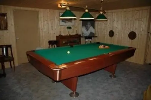 Billard américain Brunswick compétition à Aubonne