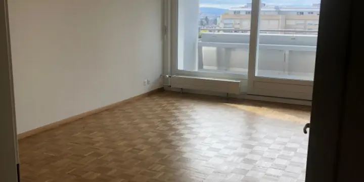 Bel appartement lumineux de 4,5 pièces avec balcon à Genève