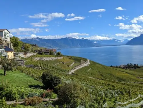 Magnifique villa neuve de 6.5 pièces vue panoramique sur le lac à Chexbres à Chexbres